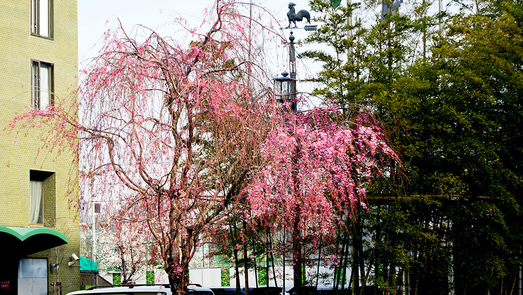 http://i.dcview.tw/gallery/201404/9e30f15038d3e5f7ca792c9c664bfc0b.jpg