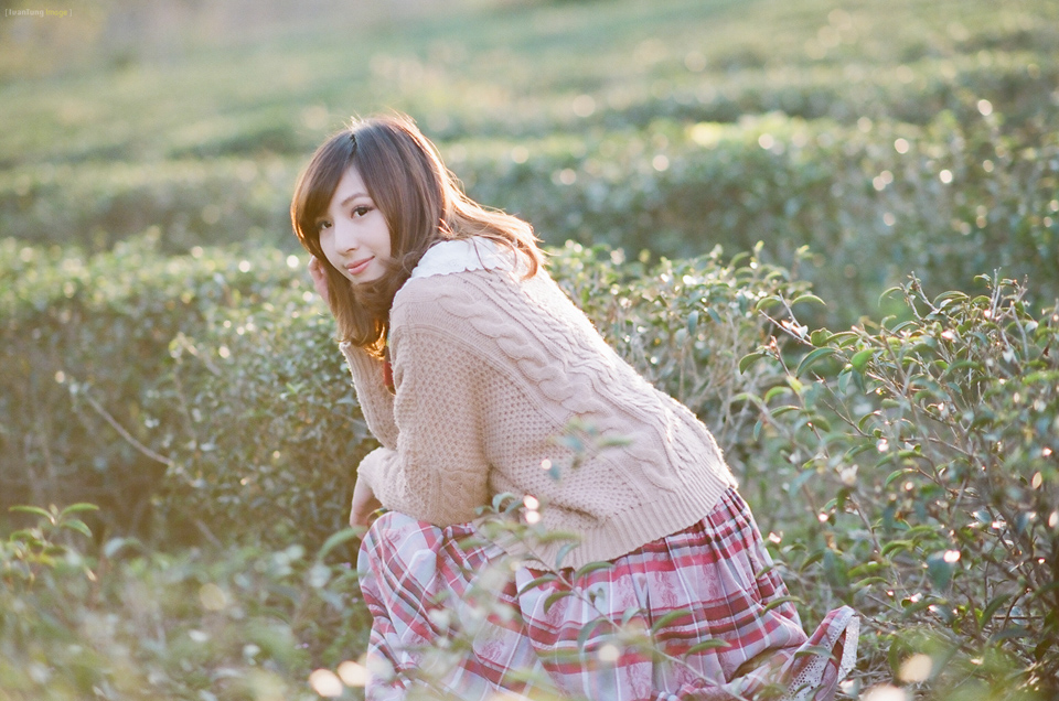 http://i.dcview.tw/gallery/201404/a514452c2824d856526414efee3b8234.jpg