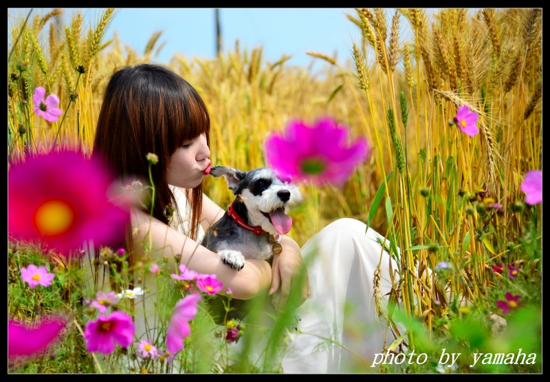 http://i.dcview.tw/gallery/201404/b0191d9847e3b90caba9453f060aec33.jpg