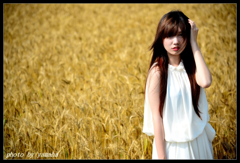 http://i.dcview.tw/gallery/201404/c3ea50d39bad3f72a9595ec9753fd092.jpg