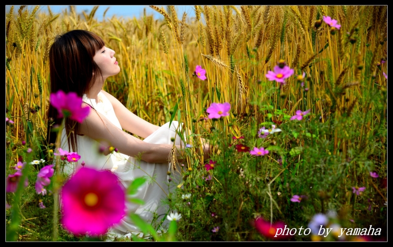 http://i.dcview.tw/gallery/201404/c4419cd5f7cee0fa1f4bbd5e9e5a2c98.jpg