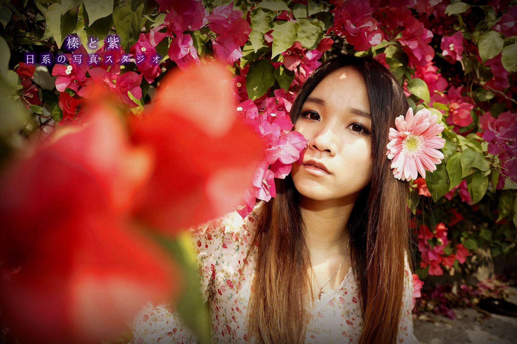 http://i.dcview.tw/gallery/201404/da591a79a1ef54c7912ccedcd105c611.jpg
