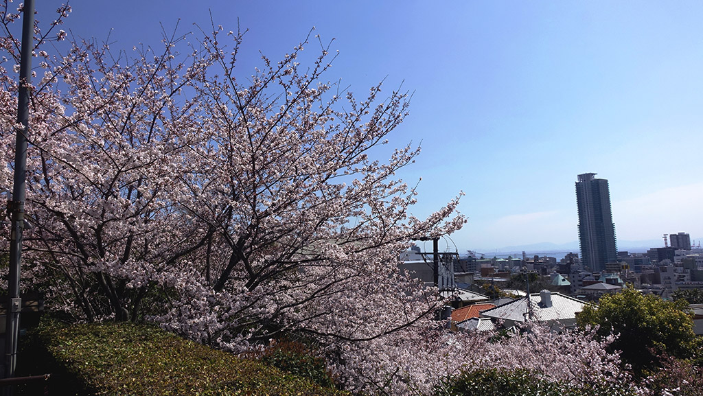 http://i.dcview.tw/gallery/201404/da9206e2a3ae24658a62cb8078734d28.jpg