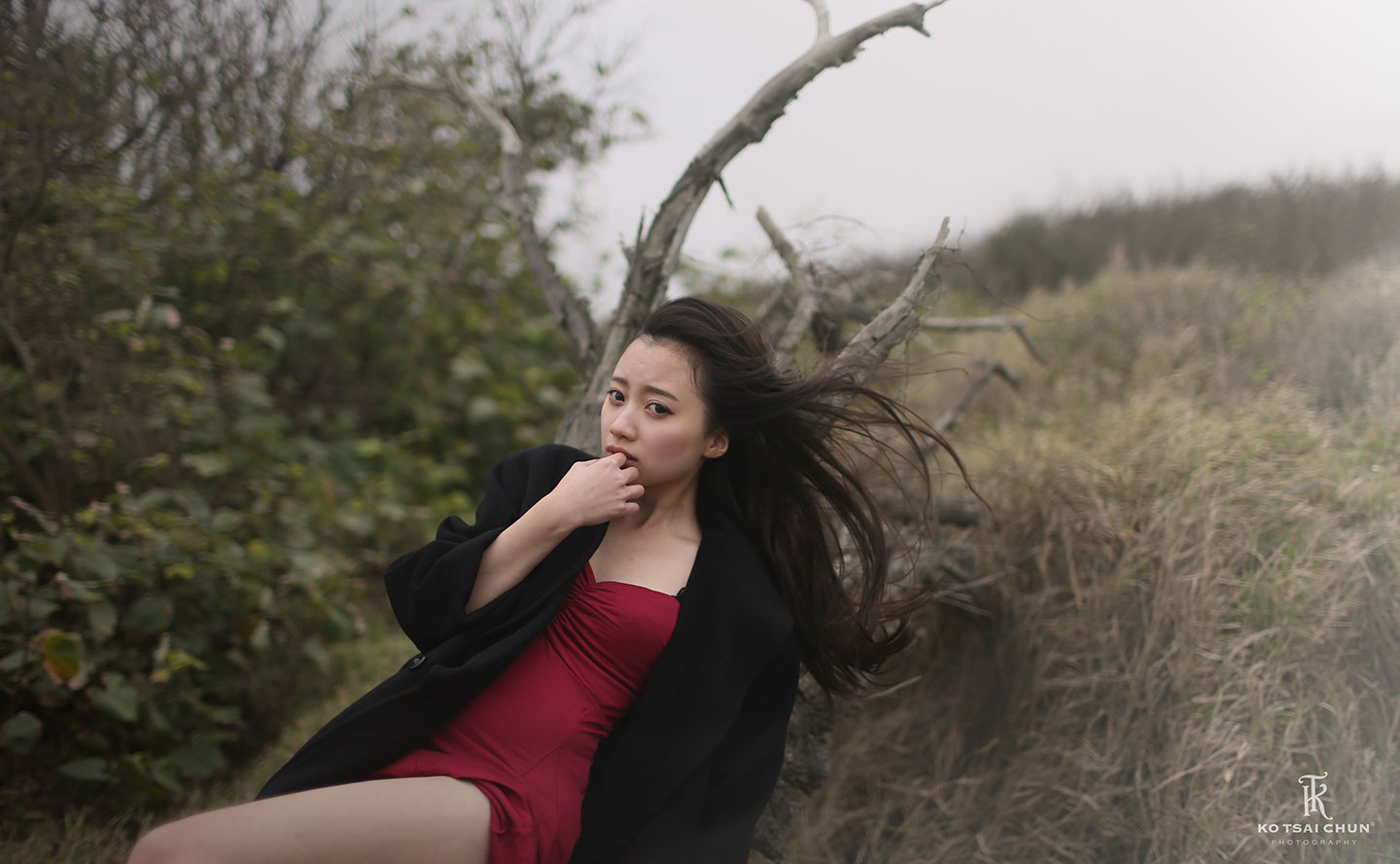 http://i.dcview.tw/gallery/201404/f2c9f8a6880686b30af57819985dae61.jpg