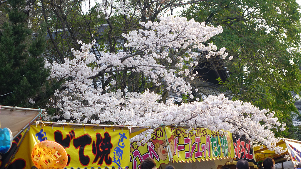 http://i.dcview.tw/gallery/201404/f3c041f1b2b838e8c91605e00c85b3c6.jpg