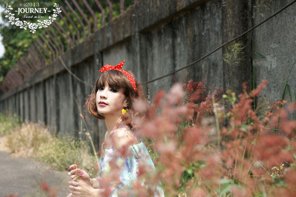 http://i.dcview.tw/gallery/201404/f3ee9df52c8da1cd3113dcc222c0e006.jpg
