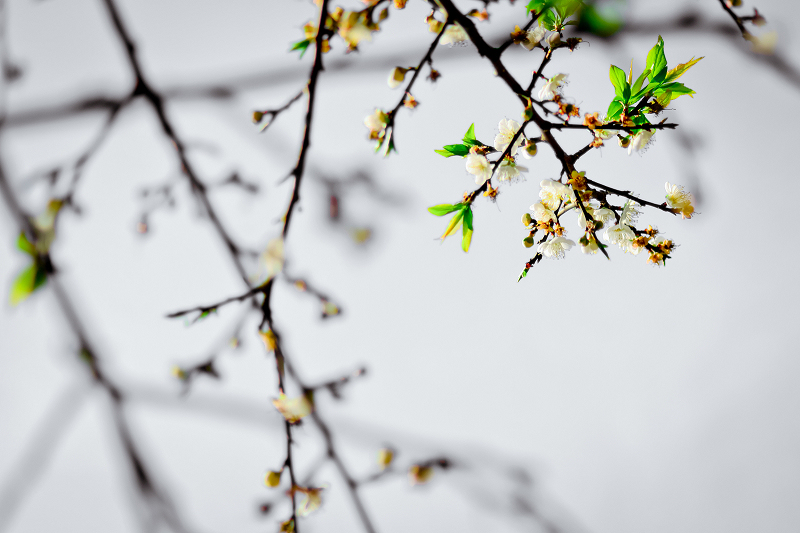 http://i.dcview.tw/gallery/201405/03ff2a796f9a98336b78f671da2d2b3c.jpg
