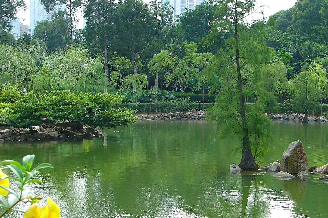 http://i.dcview.tw/gallery/201405/043e17ce4f7ba6671954152630176cd5.jpg