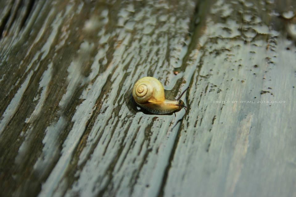 http://i.dcview.tw/gallery/201405/07e93b2e6f47fb723323d8df5595f9f4.jpg