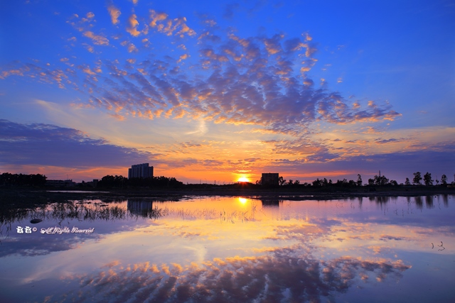 http://i.dcview.tw/gallery/201405/19452c30e0bd9027077983a04abff772.jpg