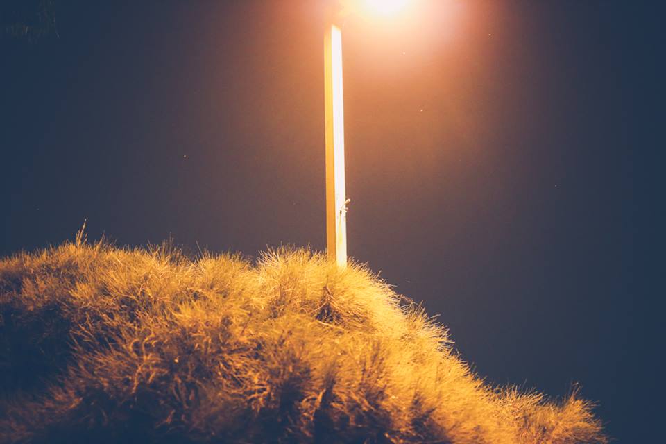 http://i.dcview.tw/gallery/201405/1b13710ff0031e952ae1c9b3613060c6.jpg