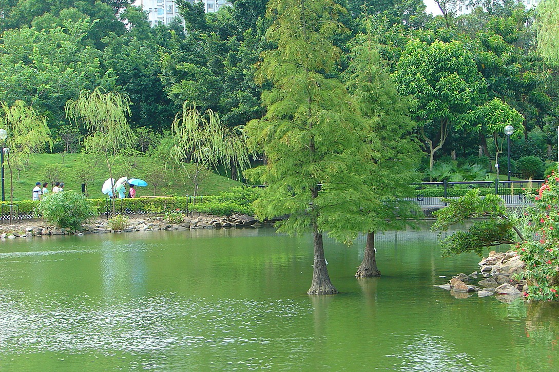 http://i.dcview.tw/gallery/201405/1fc743b5934fbc461a1e8a82e6a19d83.jpg