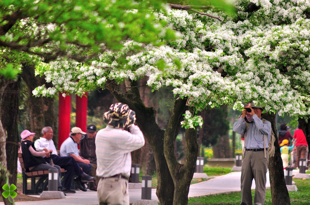 http://i.dcview.tw/gallery/201405/319df3fdcc59f0719aae415dd727d99c.jpg