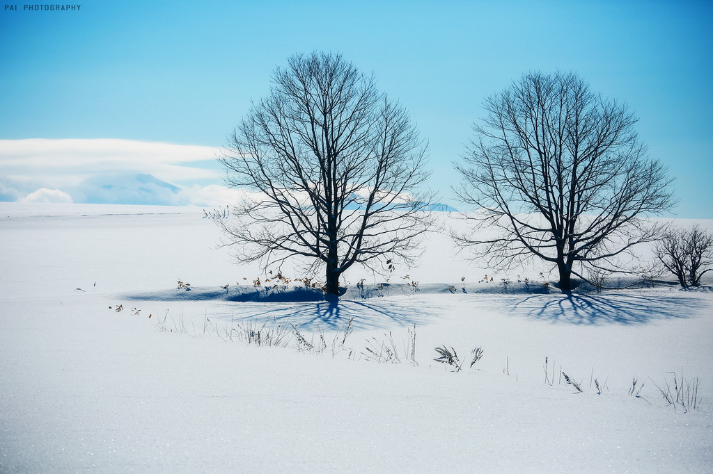 http://i.dcview.tw/gallery/201405/4ba39e9311f34d8db0c99b256292e17e.jpg