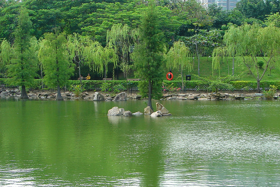 http://i.dcview.tw/gallery/201405/54a1d73b23495184dd7f1175bb492c1f.jpg