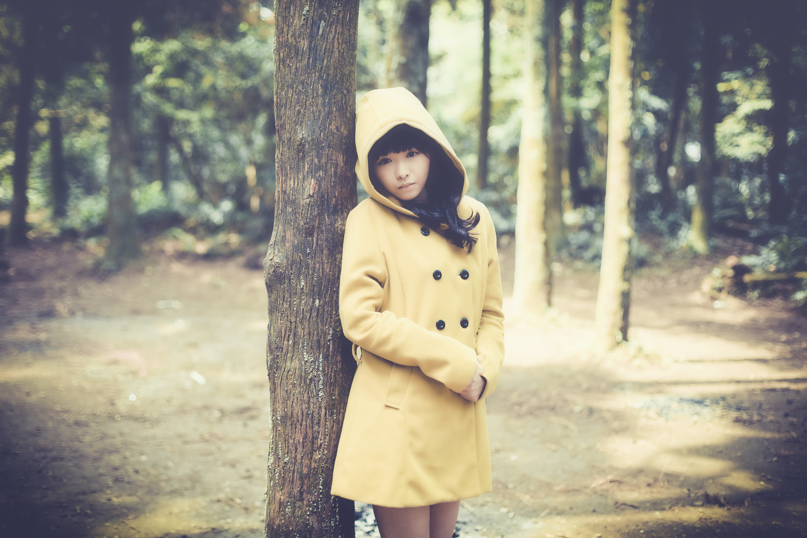 http://i.dcview.tw/gallery/201405/611e7db5f088544d9b176391d867faf8.jpg