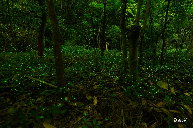 http://i.dcview.tw/gallery/201405/62b7f36fa63396feb752ea800ff46453.jpg