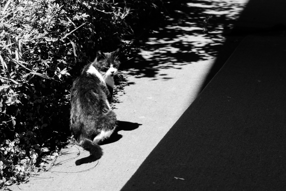http://i.dcview.tw/gallery/201405/644f9eca687249701c0d31bb6cec6755.jpg