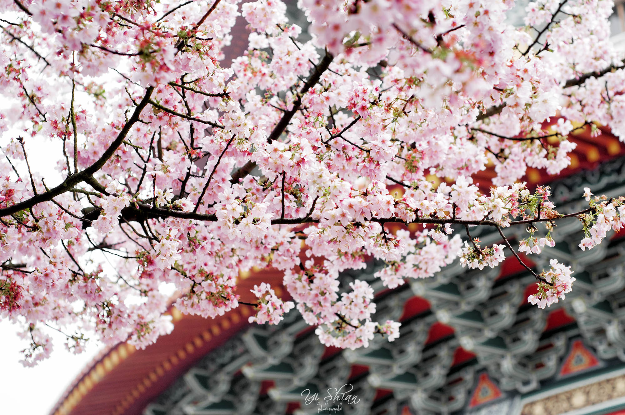 http://i.dcview.tw/gallery/201405/7aa81bff4dda129c6fc9f3677f5b352f.jpg