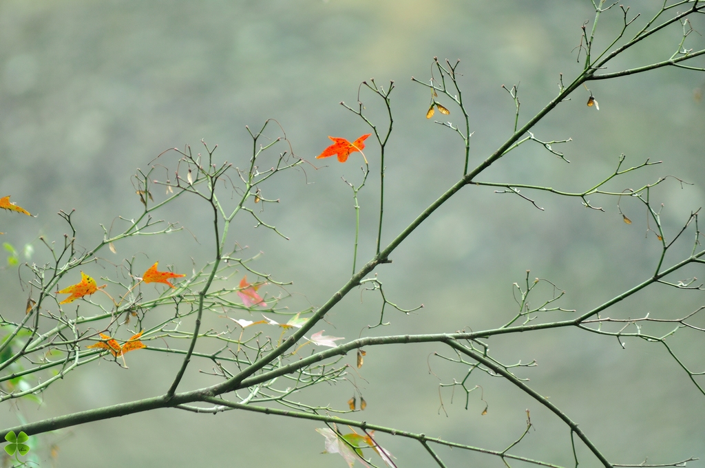 http://i.dcview.tw/gallery/201405/8140b6b66e8857269d695a853be8d8bd.jpg