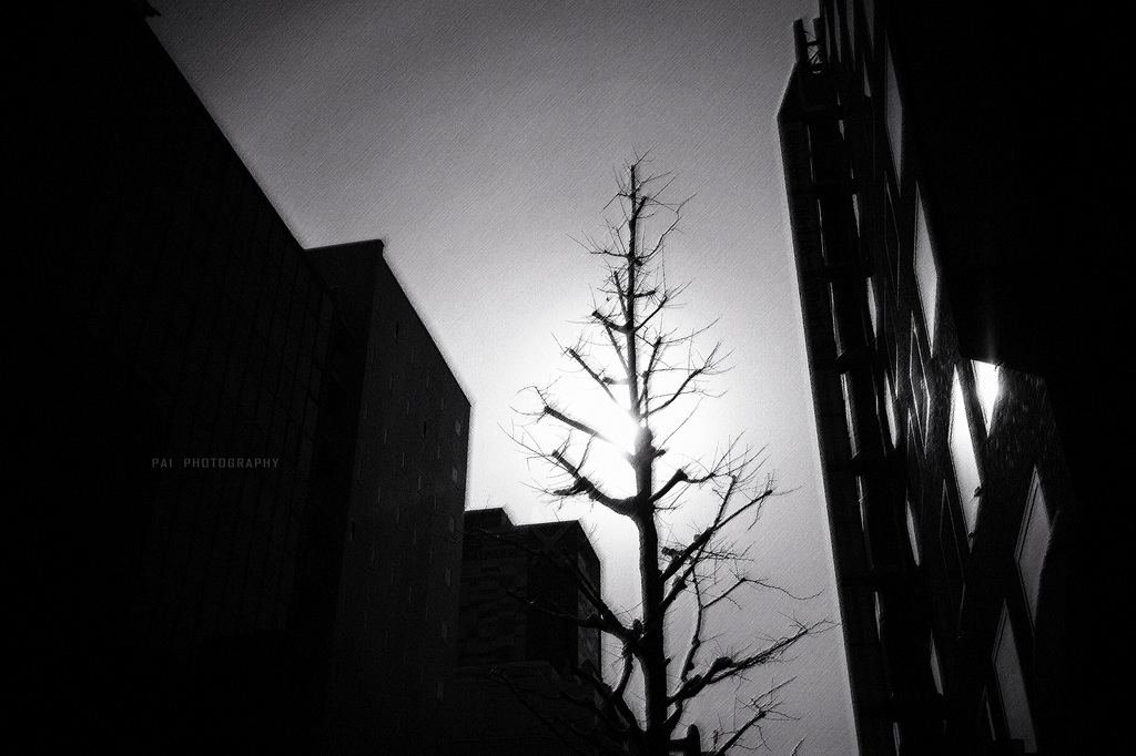 http://i.dcview.tw/gallery/201405/8458e7ba9edc2aea7a6c15d5755e93d3.jpg