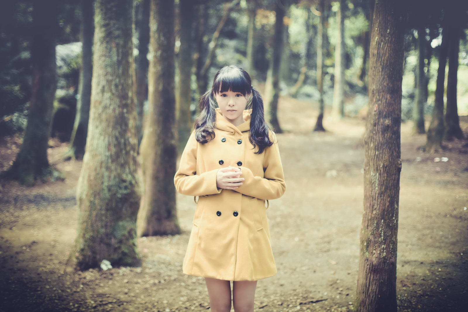 http://i.dcview.tw/gallery/201405/88a65b0a756b5983e14354524b3109e4.jpg
