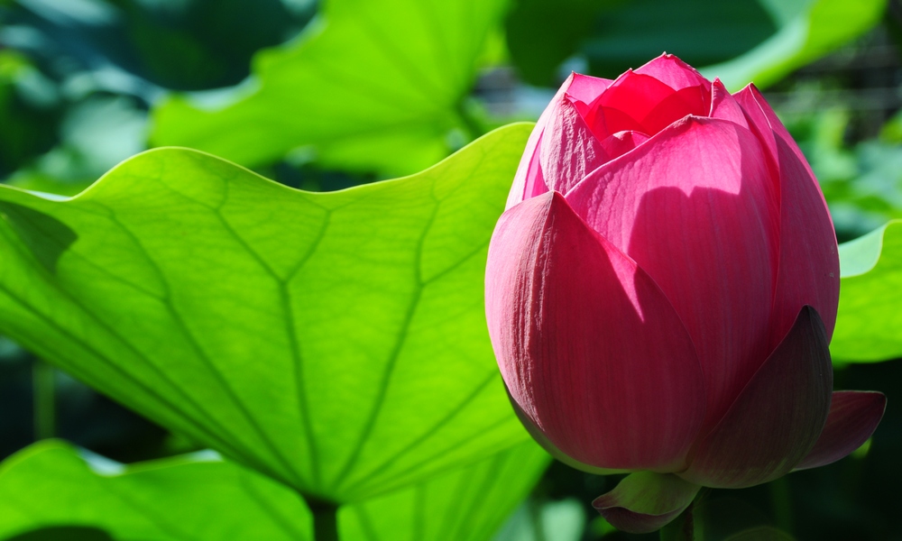 http://i.dcview.tw/gallery/201405/8cc9d815010c91d36bb4b12d4cfc2982.jpg