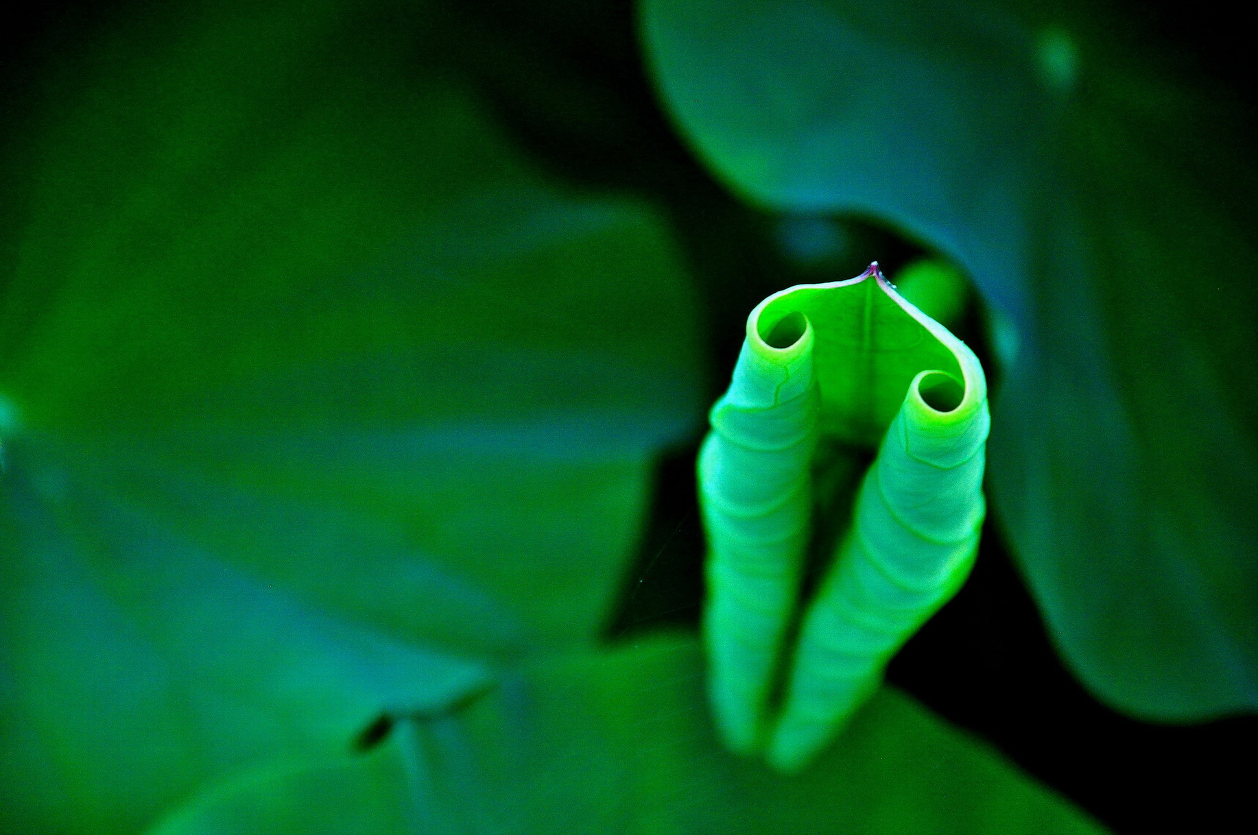 http://i.dcview.tw/gallery/201405/8f0322ff718f52402e1996ec8ecfae08.jpg