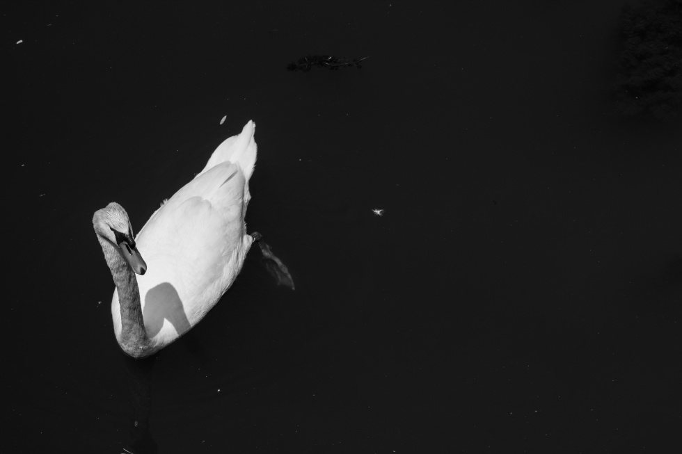 http://i.dcview.tw/gallery/201405/8f7a657307a89857dc83032cad427e50.jpg