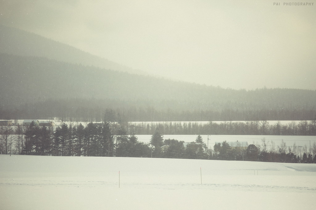 http://i.dcview.tw/gallery/201405/9a6883b39aded16f21be74cf6e2e6619.jpg