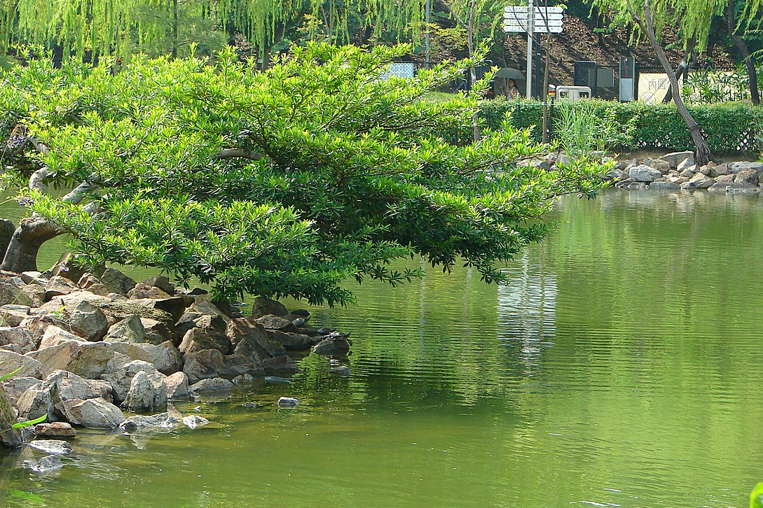 http://i.dcview.tw/gallery/201405/a272eb262065556d9a5579d27e819a24.jpg