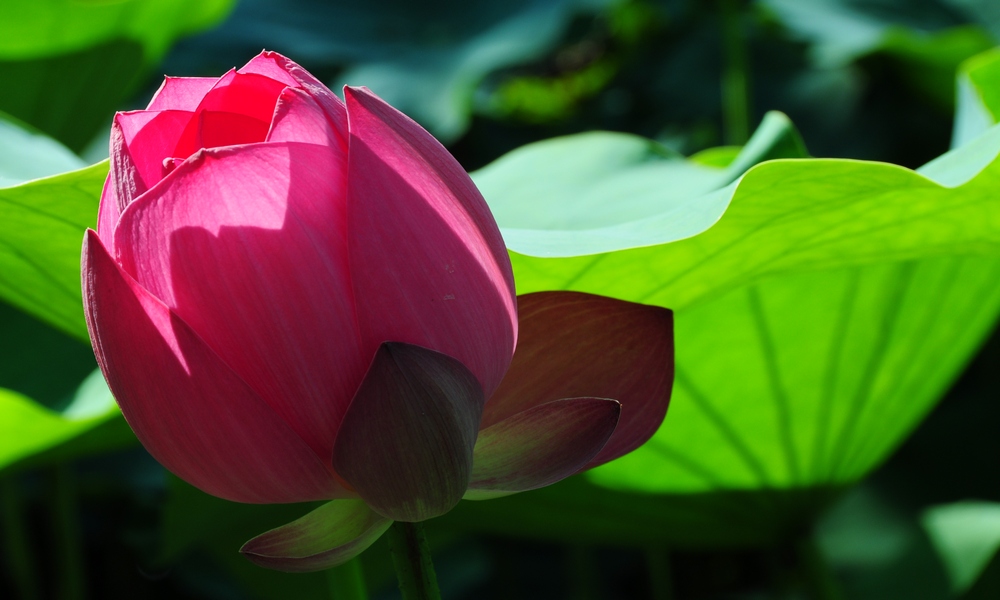 http://i.dcview.tw/gallery/201405/a5ef7369017131ec1ed921d2eec7a9b3.jpg