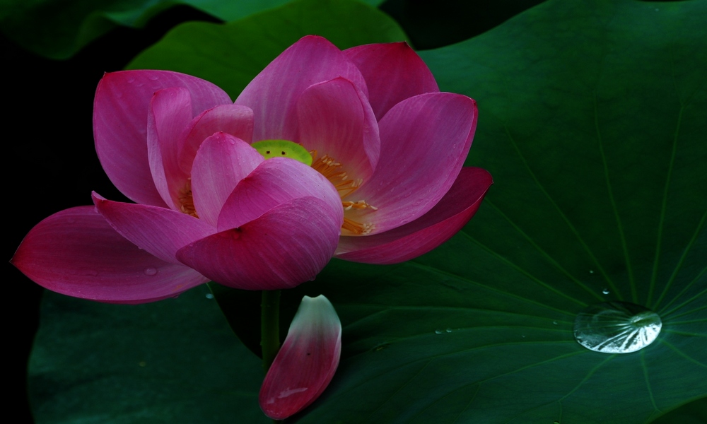 http://i.dcview.tw/gallery/201405/a8ef15be40df291530d2ec08a8bddded.jpg