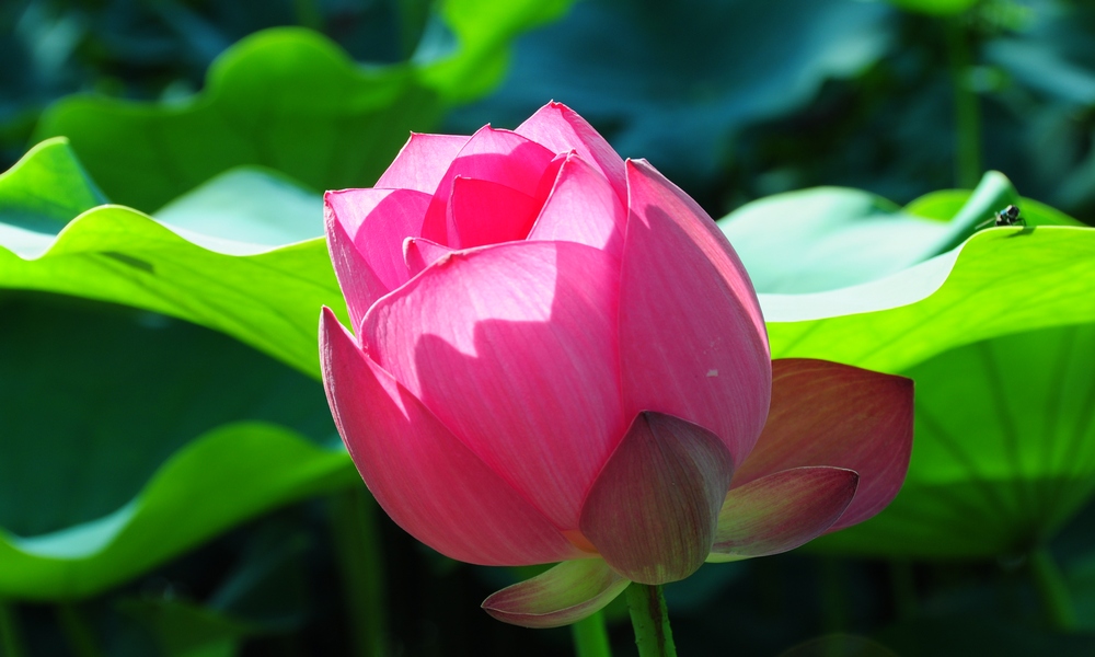 http://i.dcview.tw/gallery/201405/b584cf485a6fbe324f3d6b98dd191c70.jpg