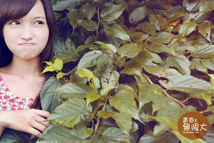 http://i.dcview.tw/gallery/201405/be8eee2cf2abb53813b500b8a0c1153a.jpg