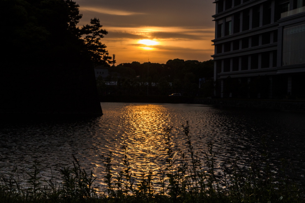 http://i.dcview.tw/gallery/201405/c1735786a1904a3b255670b642f791b6.jpg