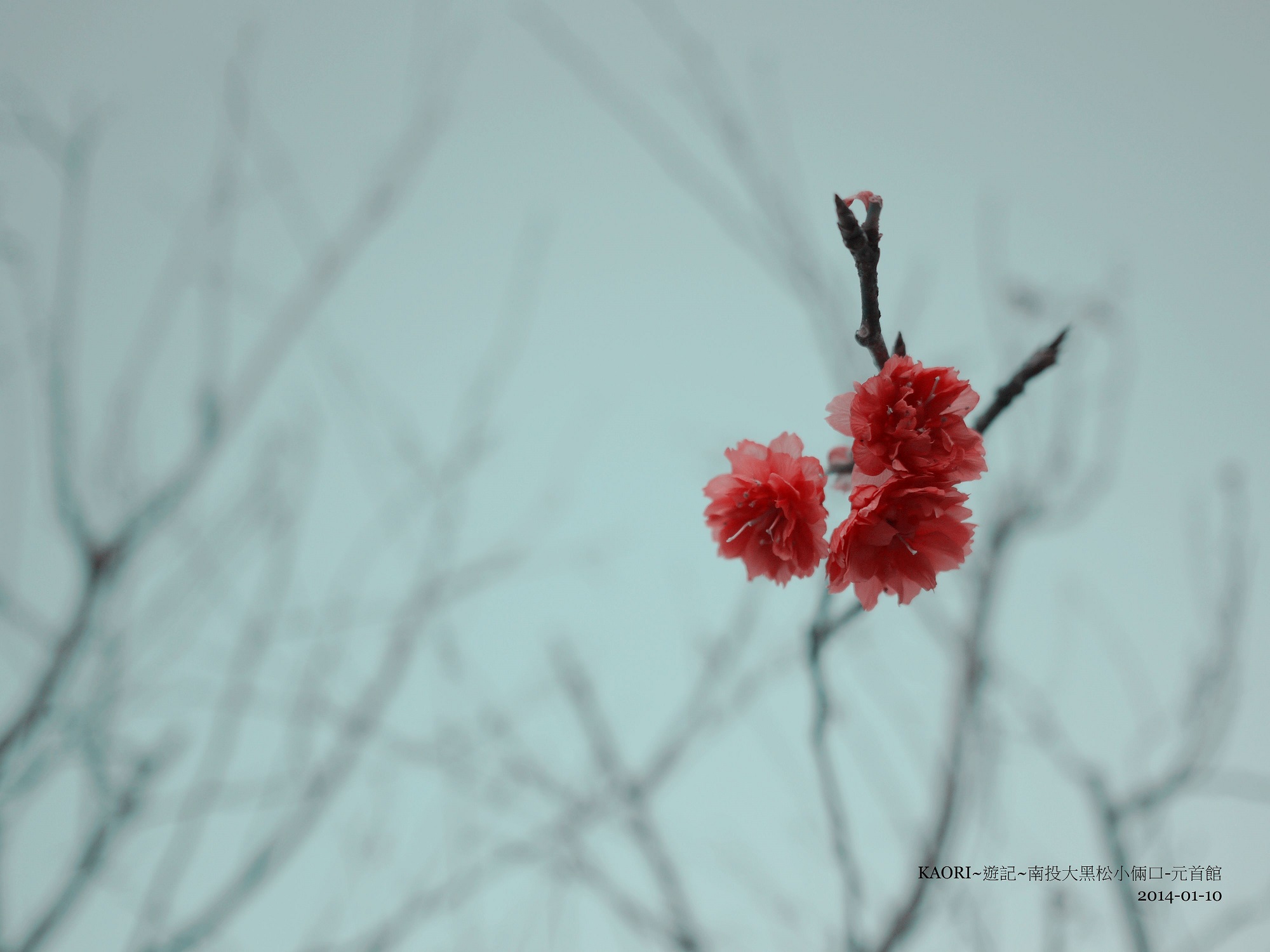 http://i.dcview.tw/gallery/201405/c260000089d5c5adcd22fbf5bbb68bd6.jpg