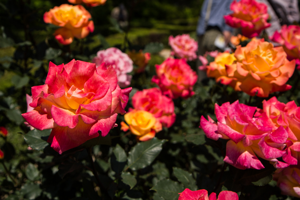 http://i.dcview.tw/gallery/201405/c441385530e5cf8678be0abdf7fd35a4.jpg
