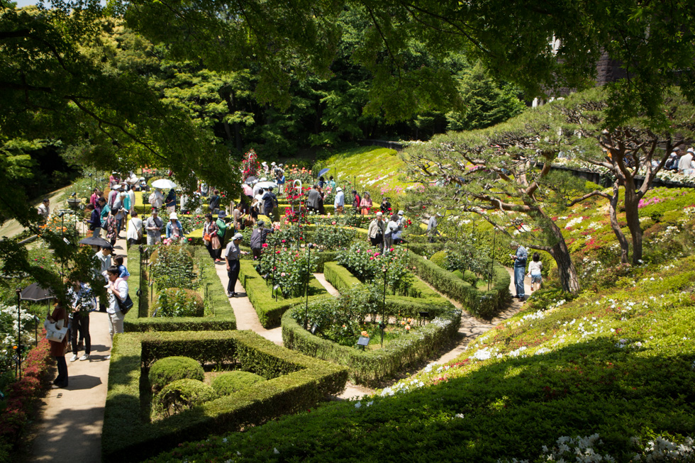 http://i.dcview.tw/gallery/201405/c6007a0a2386e996d27834cf4e5e0182.jpg