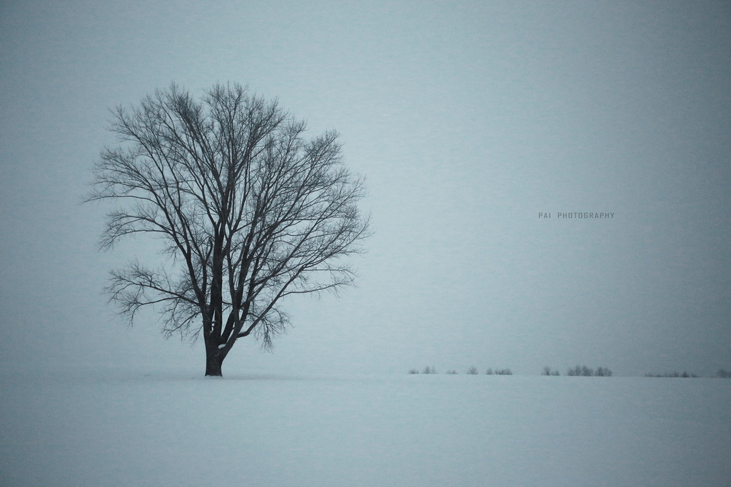 http://i.dcview.tw/gallery/201405/c893e68e75deedf86b619241d88452fc.jpg