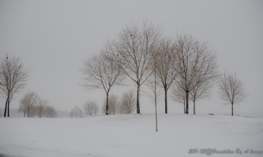 http://i.dcview.tw/gallery/201405/d211a87fc9202f48bc3a74136763ec34.jpg