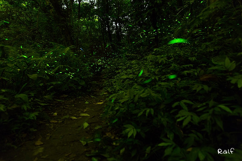 http://i.dcview.tw/gallery/201405/d3a60827802a1cbd42bddbb0553698d9.jpg