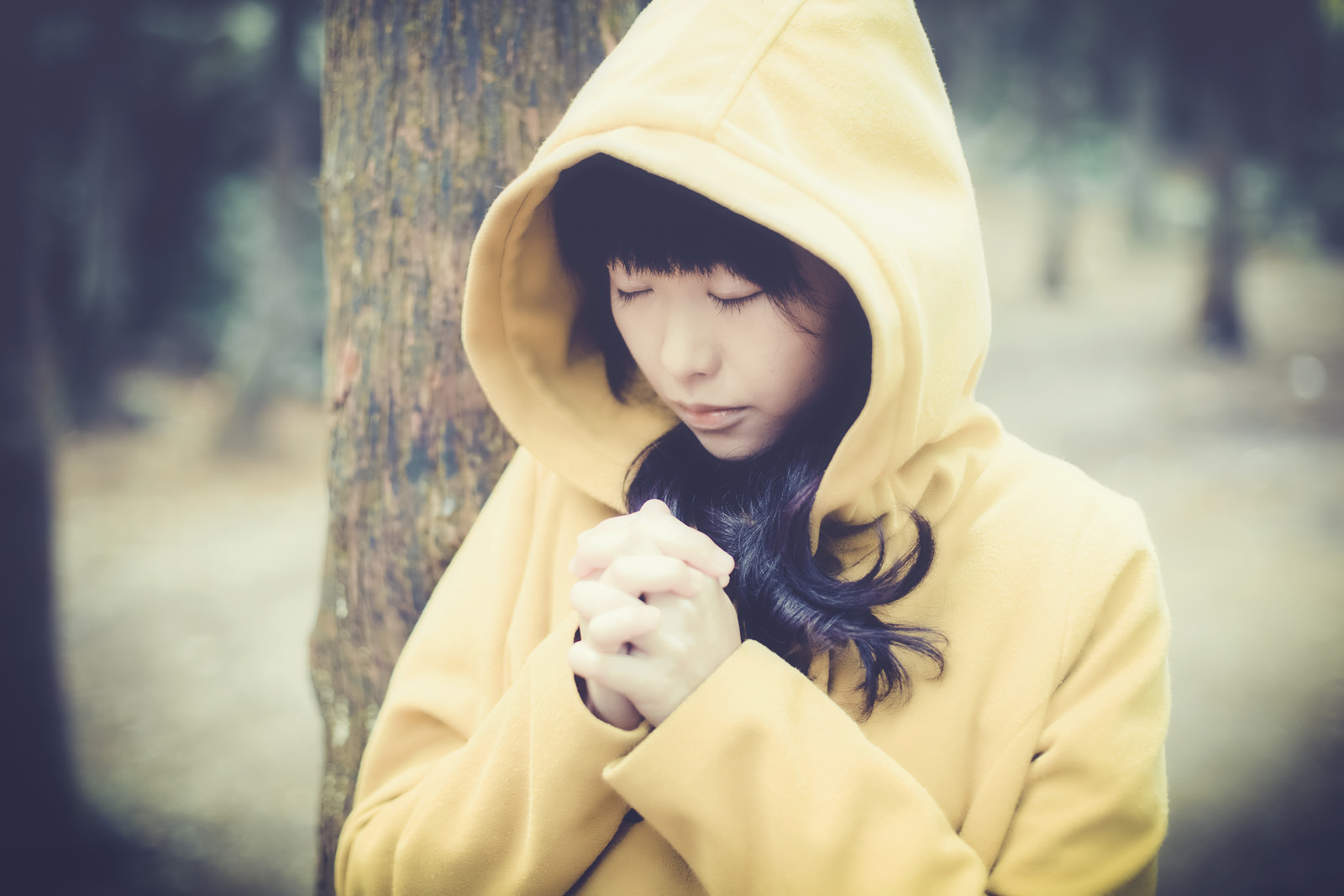 http://i.dcview.tw/gallery/201405/d6149ed7fced1f02585cd16b48081d16.jpg