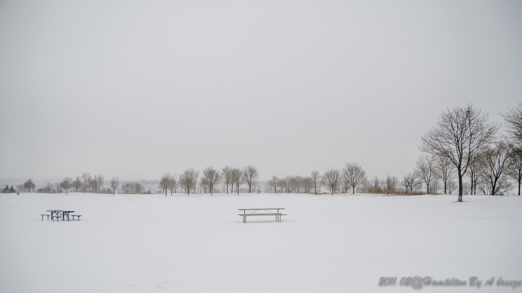 http://i.dcview.tw/gallery/201405/d747ae4ef9cdc4393541e347a44a9a63.jpg