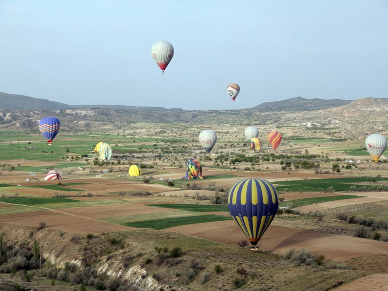 http://i.dcview.tw/gallery/201405/debabb38ea62149ce4b2b049f8b3e7d9.jpg