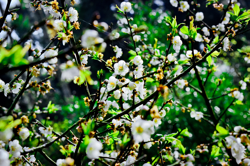http://i.dcview.tw/gallery/201405/e0db2149d43c901b533176b9816a084e.jpg