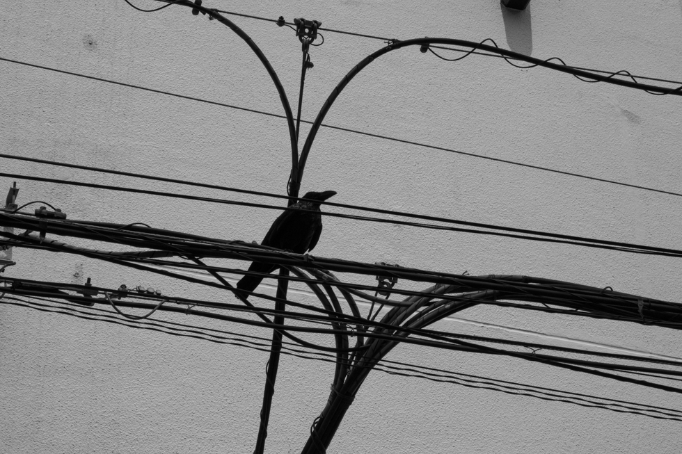 http://i.dcview.tw/gallery/201405/e44bb5889cae145b0d491cae16a3ef58.jpg
