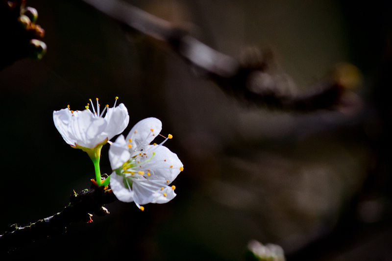 http://i.dcview.tw/gallery/201405/e46e799574d520afab310c9f8486d0e4.jpg