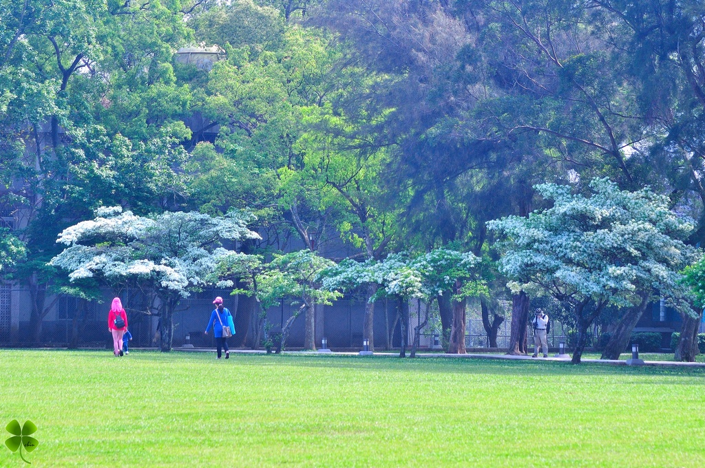 http://i.dcview.tw/gallery/201405/e77b05a03e34281e72c8e1328df6fe96.jpg