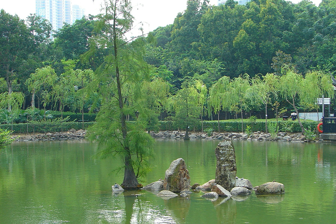 http://i.dcview.tw/gallery/201405/ffc62b8ff77f3dfb0f5ca5bfc83da00b.jpg
